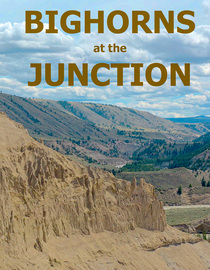 Bighorns at the Junction