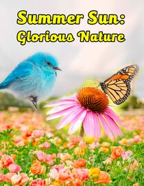 Summer Sun: Glorious Nature