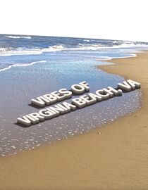 Vibes in Virginia Beach