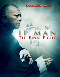 Ip Man: The Final Fight (English Dub)