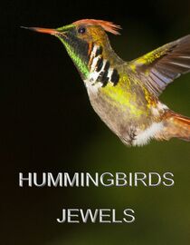 Hummingbirds Jewels