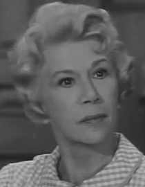 S01 E04 - Is There a Doctor in the Roundhouse - Petticoat Junction
