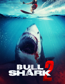 Bull Shark 2