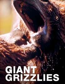 Giant Grizzlies