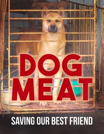 Dog Meat: Saving Our Best Friend