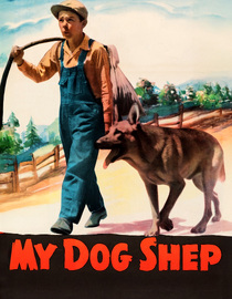 My Dog Shep