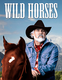 Wild Horses