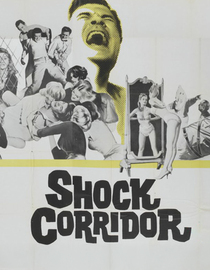 Shock Corridor