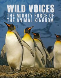 Wild Voices: The Mighty Force of the Animal Kingdom