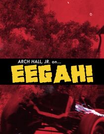 Interview with Arch Hall Jr.