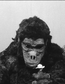 S01 E02 - Goro and Goro - Ultra Q