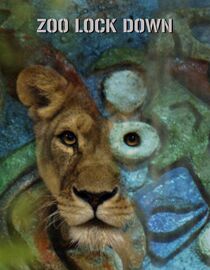 Zoo Lock Down