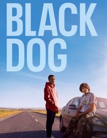 Black Dog