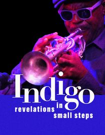 Indigo Revelations In Small Steps