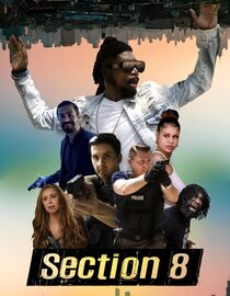 Section 8