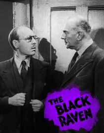 The Black Raven