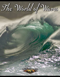 The World of Waves