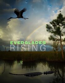 Everglades Rising