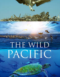 The Wild Pacific