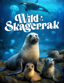 Wild Skagerrak