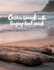 Tropical Beach Ambience Part 4 - Relaxing Sounds Screensaver & Wallpaper