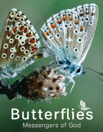 Butterflies - Messengers of God