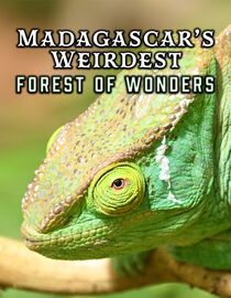 Madagascar's Weirdest: Forests of Wonders