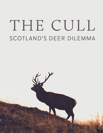 The Cull: Scotland's Deer Dilemma