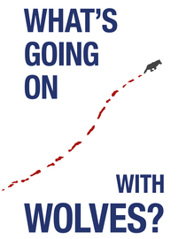 What's Going On With Wolves