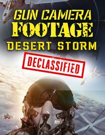 Gun Camera Footage: Desert Storm Declassified