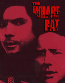 The Wharf Rat