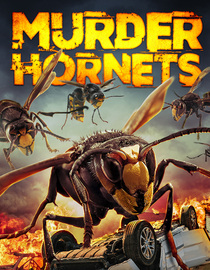 Murder Hornets