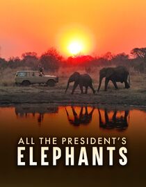 All The President's Elephants