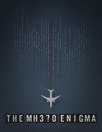 The MH370 Enigma