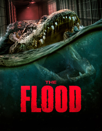 The Flood