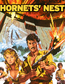 Hornet's Nest