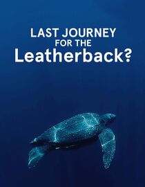 Last Journey for the Leatherback?