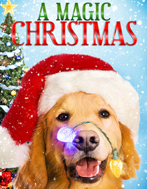 A Magic Christmas
