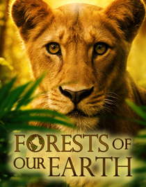 Forests of Our Earth