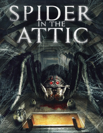Spider in the Attic