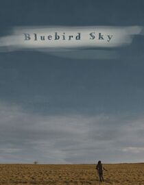 Bluebird Sky