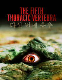 The Fifth Thoracic Vertebra