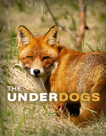 The Underdogs